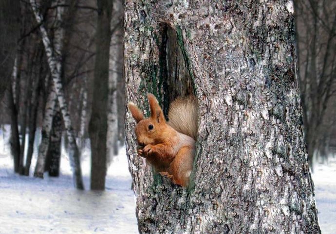 Странные предметы для самоудовлетворения