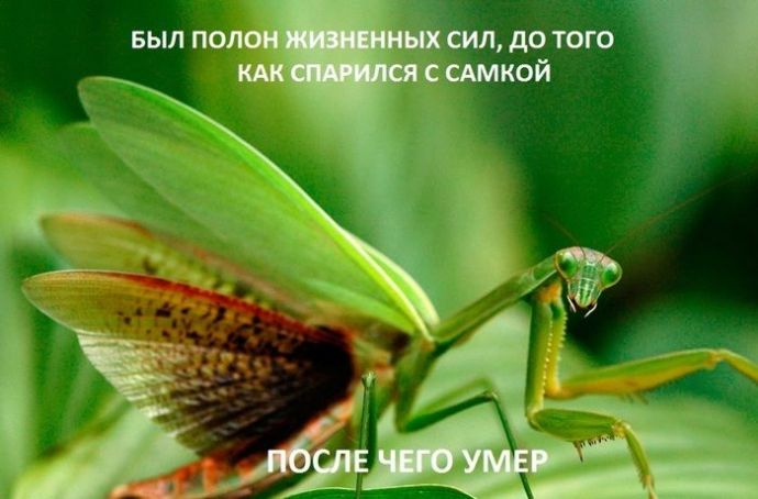 Женщины - причина всех бед (21 картинка)