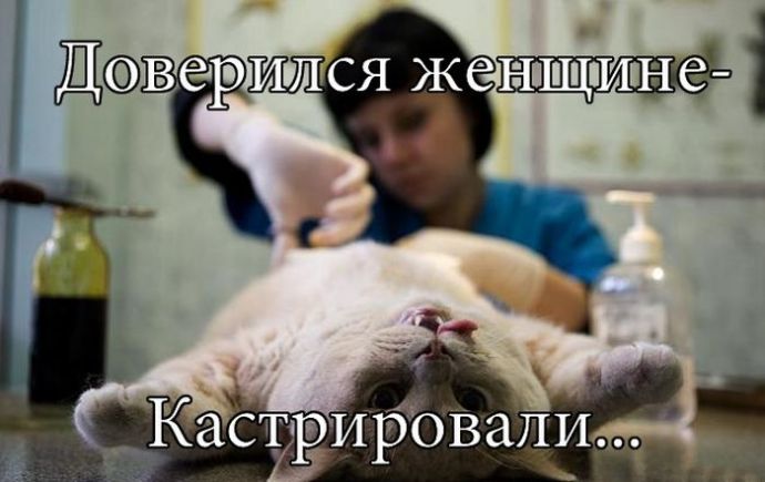 Женщины - причина всех бед (21 картинка)