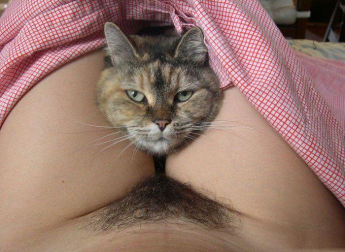 Секс битва киска на киску - Эроприколы