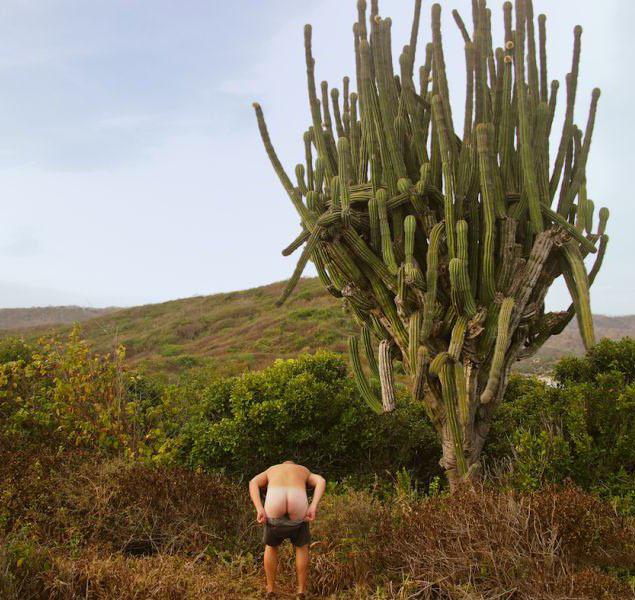 Голая девушка среди арбузов - Эроприколы