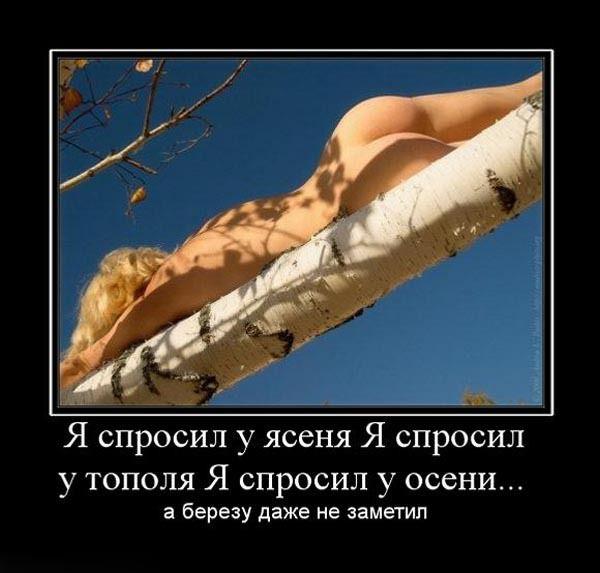 Когда не невтерпеж можно потрахаться и на улице -  Эроприколы