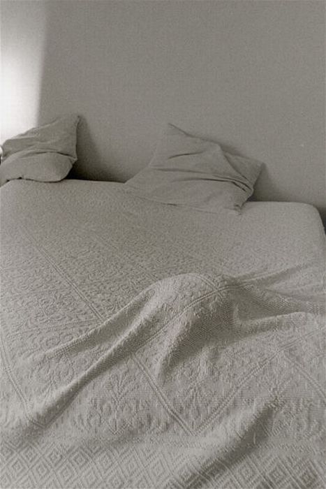 Котейки следят за нами всегда