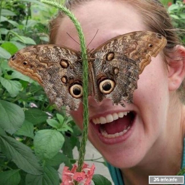 Необычные снимки в нужный момент (61 фото)