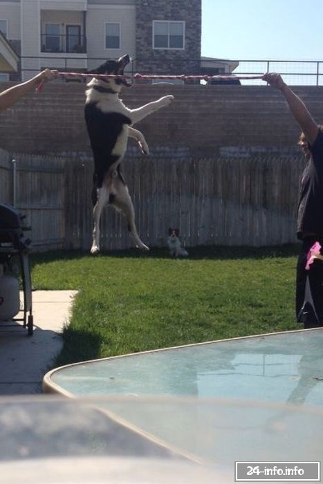 Необычные снимки в нужный момент (61 фото)