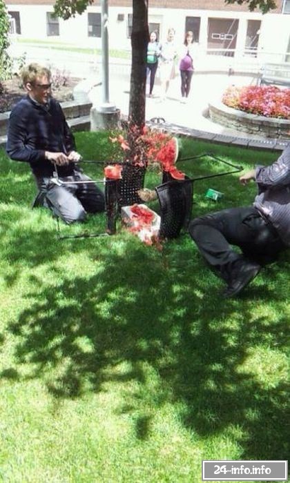 Необычные снимки в нужный момент (61 фото)