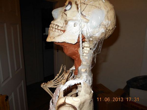 Самодельная секс-рабыня