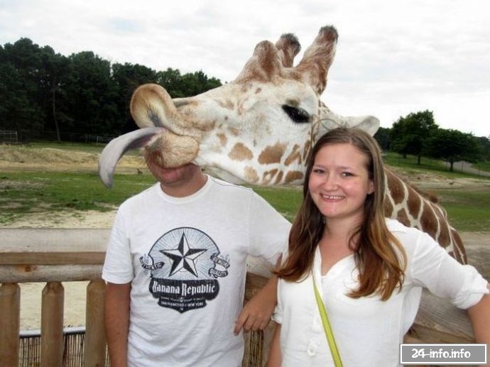 Необычные снимки в нужный момент (61 фото)