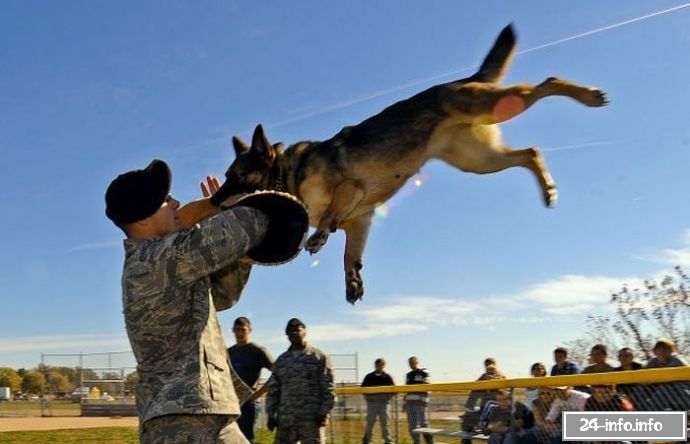 Необычные снимки в нужный момент (61 фото)