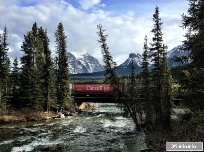 Необычные снимки в нужный момент (61 фото)