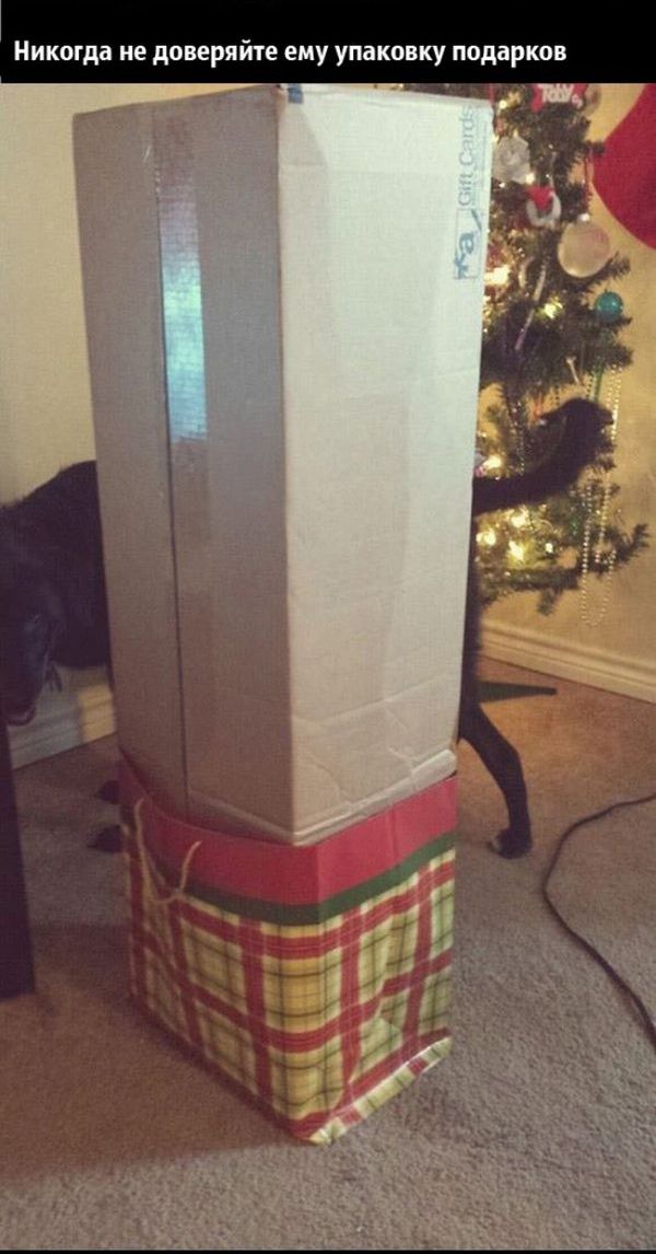 Чего нельзя доверить своему мужу