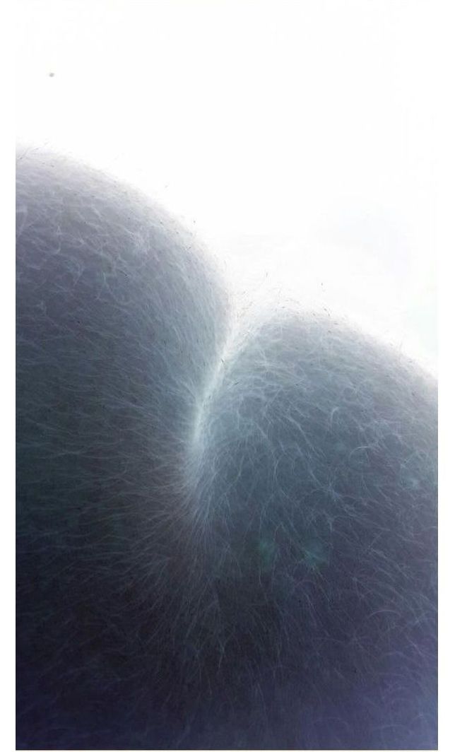 Девушка-тролль разыграла своего парня