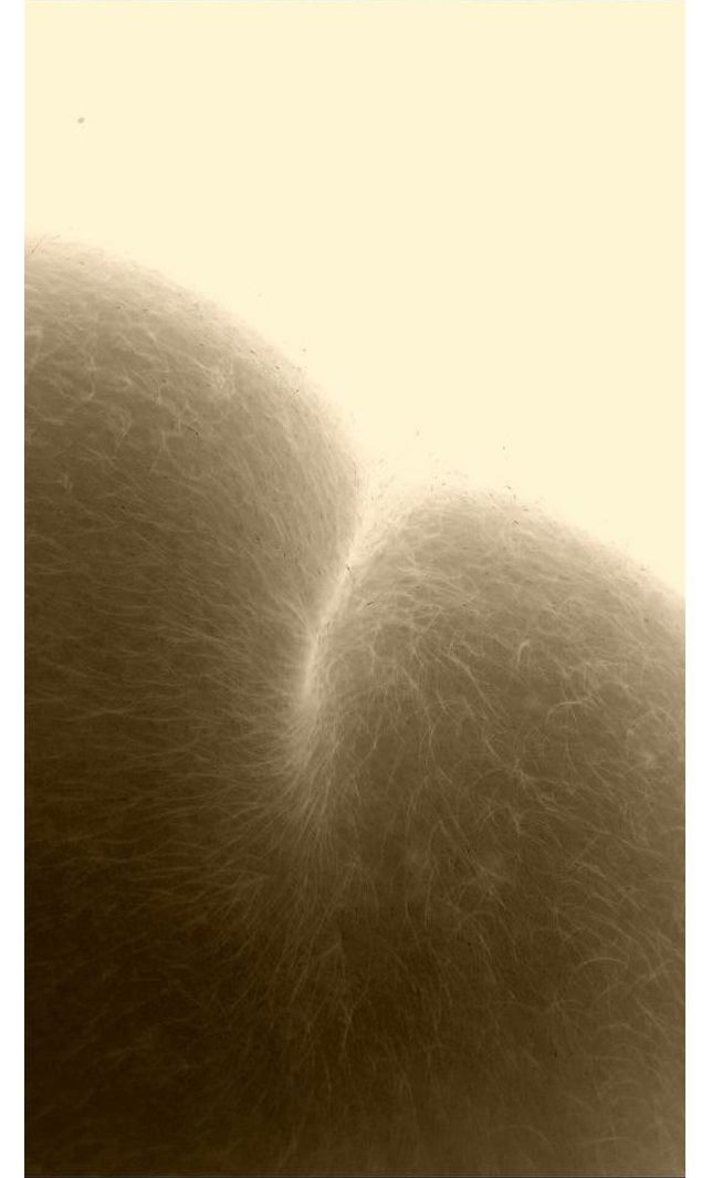 Девушка-тролль разыграла своего парня