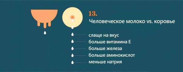 Интересное о женской груди