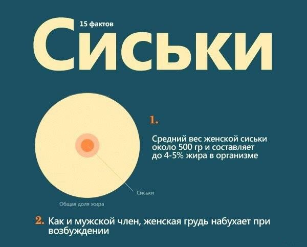 Интересное о женской груди