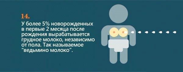 Интересное о женской груди