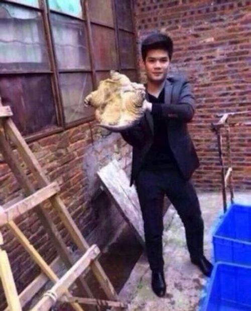 Любовь с черепахой (жесть)