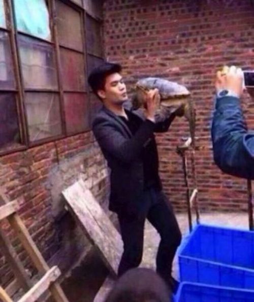 Любовь с черепахой (жесть) Любовь с черепахой (жесть)