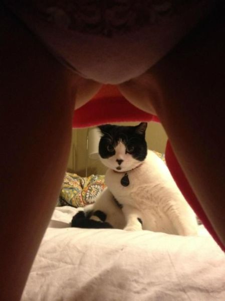 Пошлые картинки для взрослых. Часть 29