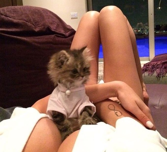 Пошлые картинки для взрослых. Часть 29