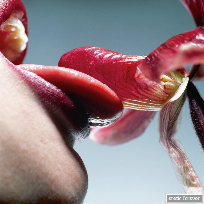 Провокационный фотограф Cornelie Tollens (эротика)