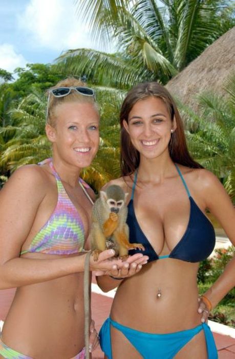 Сексуальные девушки с пышной грудью