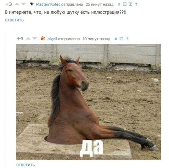 Смешные комментарии из соц. сетей. Часть 18