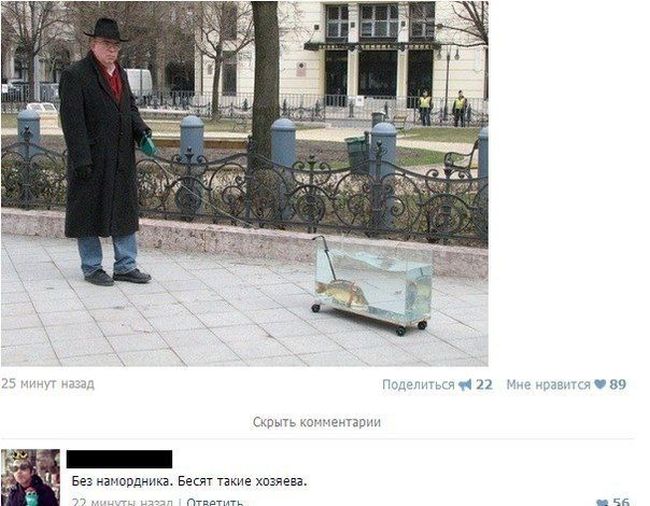 Смешные комменты из социальных сетей. Часть 22