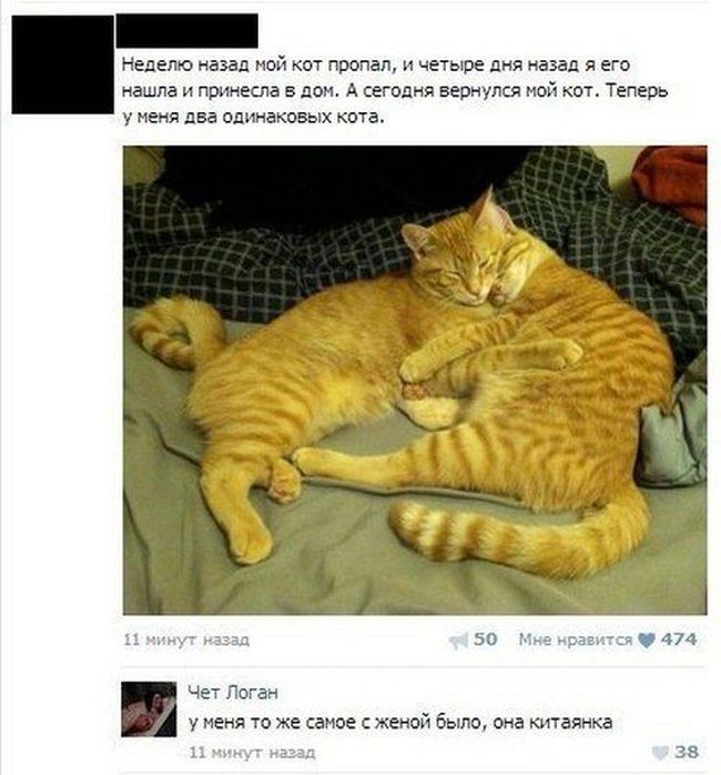 Смешные комменты из социальных сетей. Часть 22