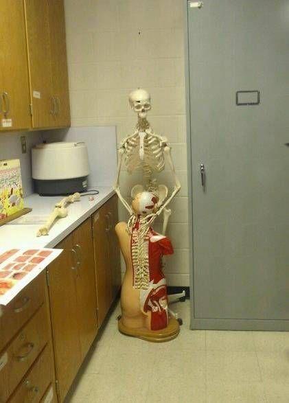 Теннисный мяч запихали в анус телке - Эроприколы