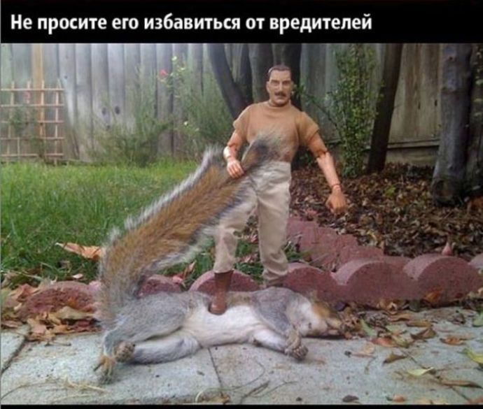 Чего нельзя доверить своему мужу