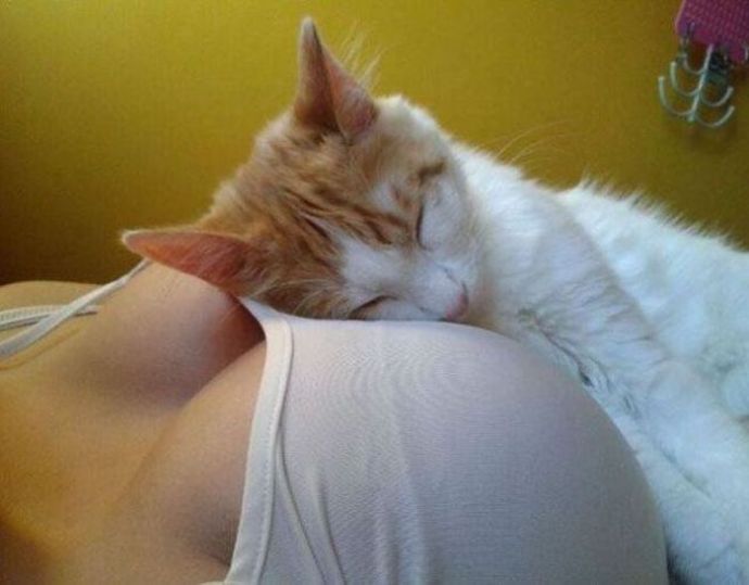 Пошлятина для взрослых. Часть 33