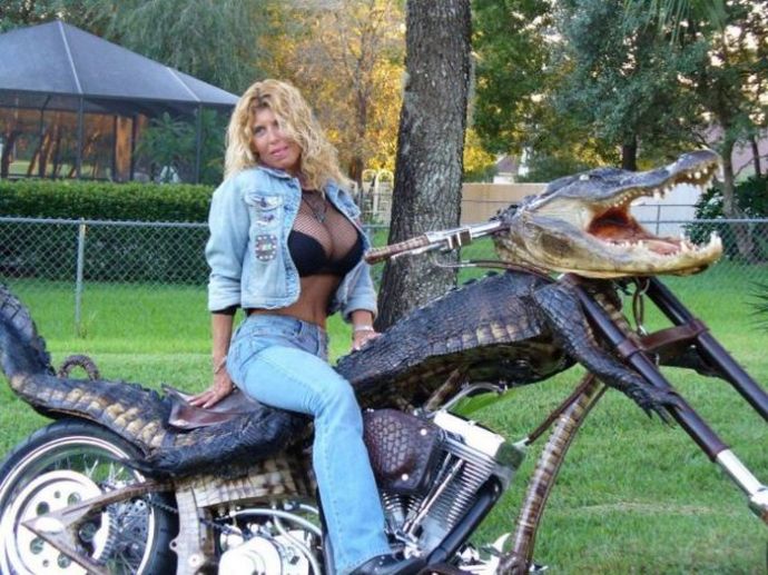 Пошлые картинки для взрослых. Часть 21