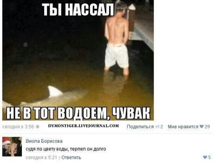 Смешные комментарии из соц. сетей. Часть 18