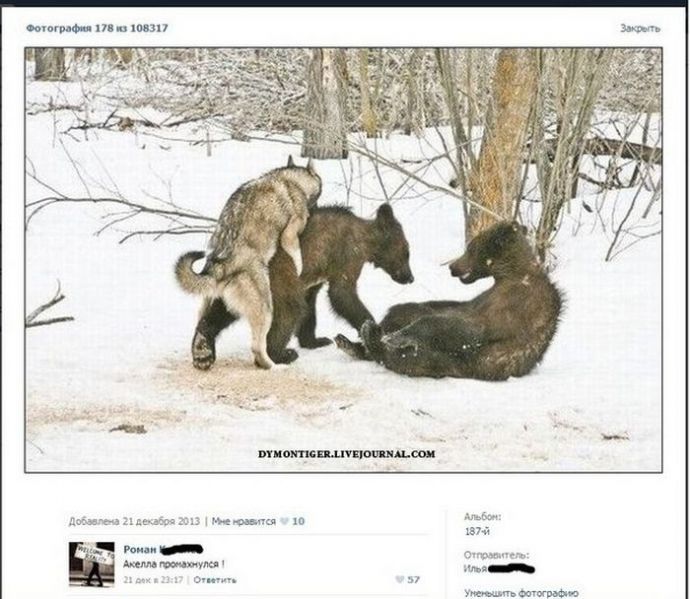 Смешные комменты из социальных сетей. Часть 17