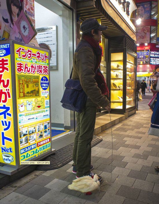 Чудики из Азии