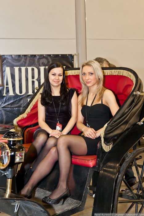 Девушки и олдтаймеры Девушки и олдтаймеры