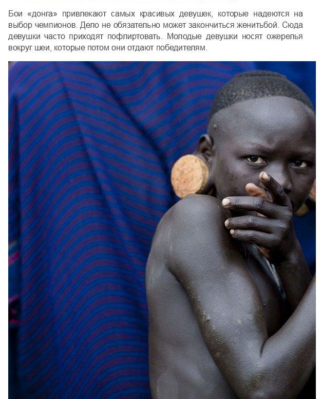 Испытание мужчин племени Сурма в Эфиопии Испытание мужчин племени Сурма в Эфиопии