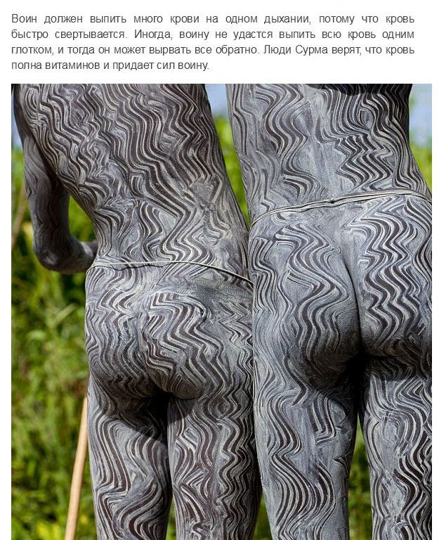 Испытание мужчин племени Сурма в Эфиопии Испытание мужчин племени Сурма в Эфиопии