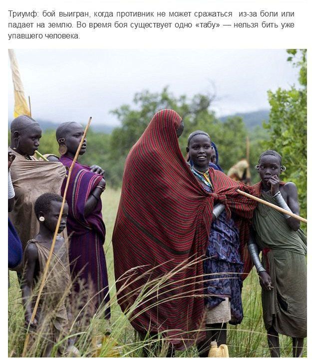 Испытание мужчин племени Сурма в Эфиопии Испытание мужчин племени Сурма в Эфиопии