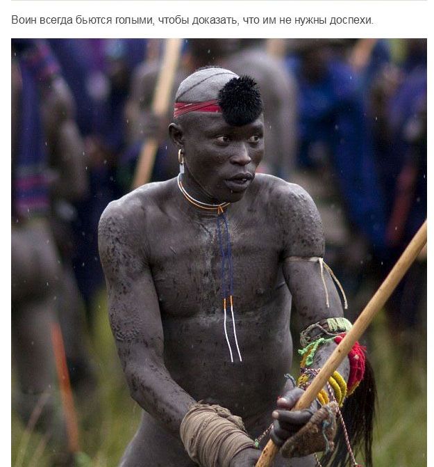 Испытание мужчин племени Сурма в Эфиопии Испытание мужчин племени Сурма в Эфиопии