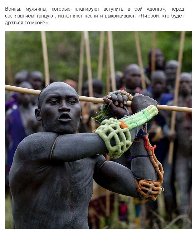 Испытание мужчин племени Сурма в Эфиопии Испытание мужчин племени Сурма в Эфиопии