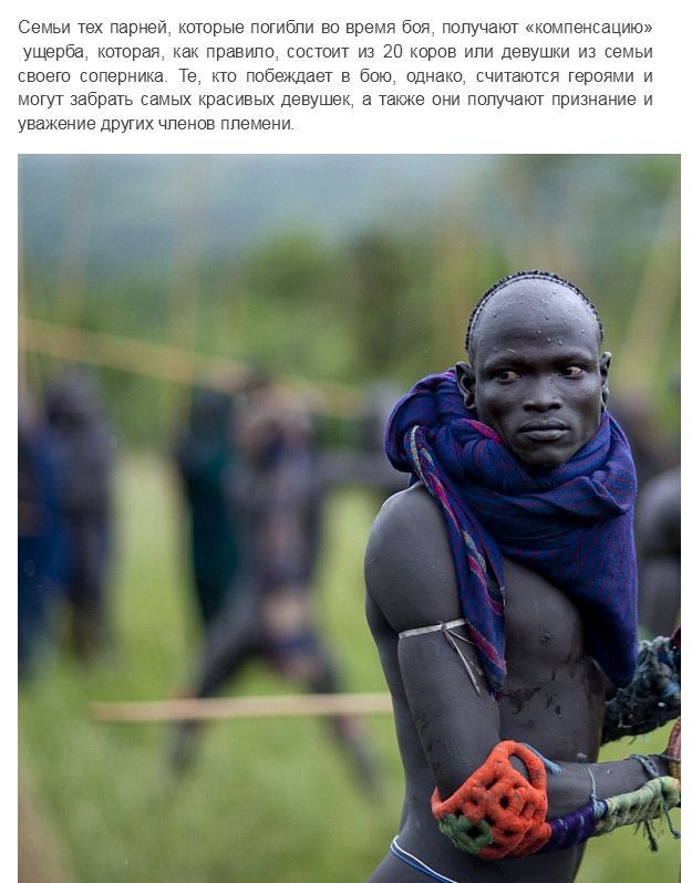 Испытание мужчин племени Сурма в Эфиопии
