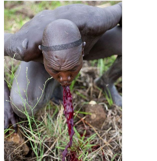 Испытание мужчин племени Сурма в Эфиопии Испытание мужчин племени Сурма в Эфиопии