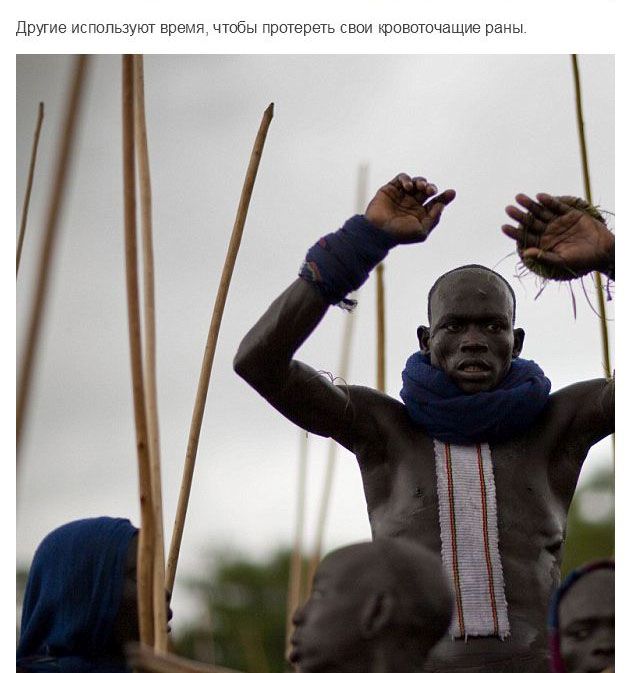 Испытание мужчин племени Сурма в Эфиопии Испытание мужчин племени Сурма в Эфиопии