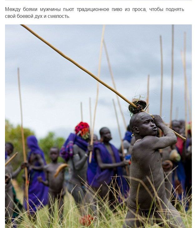 Испытание мужчин племени Сурма в Эфиопии Испытание мужчин племени Сурма в Эфиопии