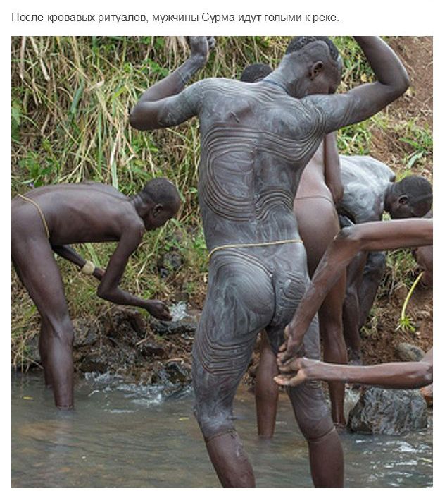 Испытание мужчин племени Сурма в Эфиопии Испытание мужчин племени Сурма в Эфиопии