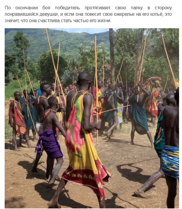 Испытание мужчин племени Сурма в Эфиопии Испытание мужчин племени Сурма в Эфиопии