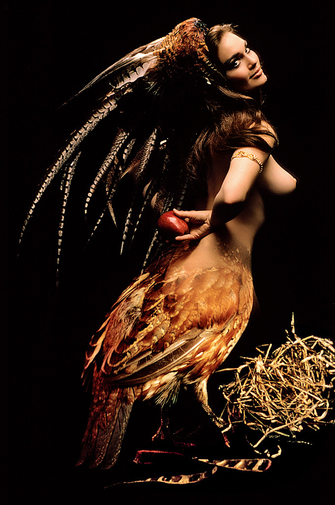 Классика Playboy - птицы Америки (эротика) Классика Playboy - птицы Америки (эротика)