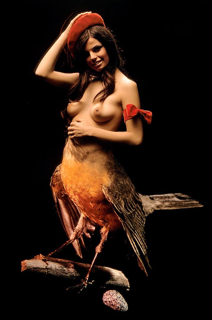 Классика Playboy - птицы Америки (эротика) Классика Playboy - птицы Америки (эротика)
